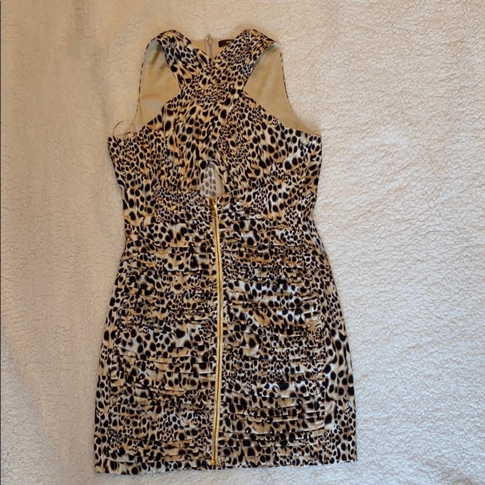 Roberto Cavalli